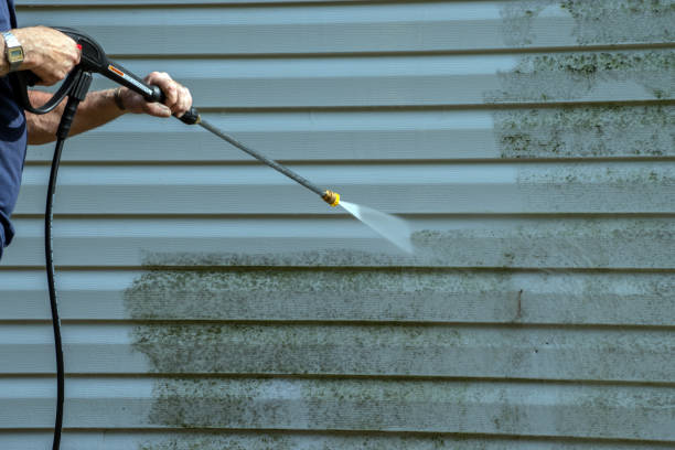 Best Roof Washing  in Carthage, NC